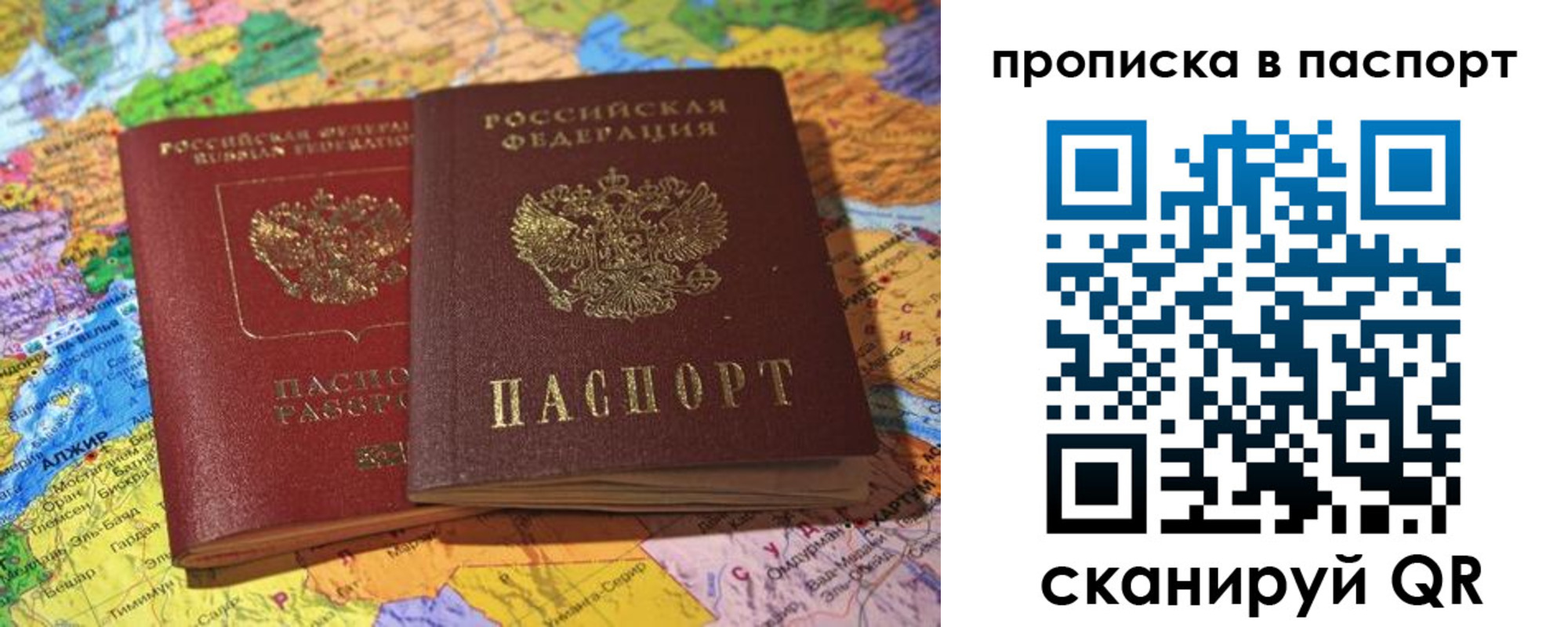 прописка гарантия в Александровске-Сахалинском